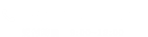 080-3195-9066
